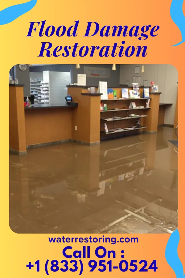 Flood Damage Restoration in Richwood, LA