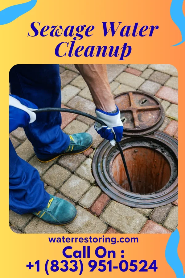 Sewage Water Cleanup in Richwood, LA