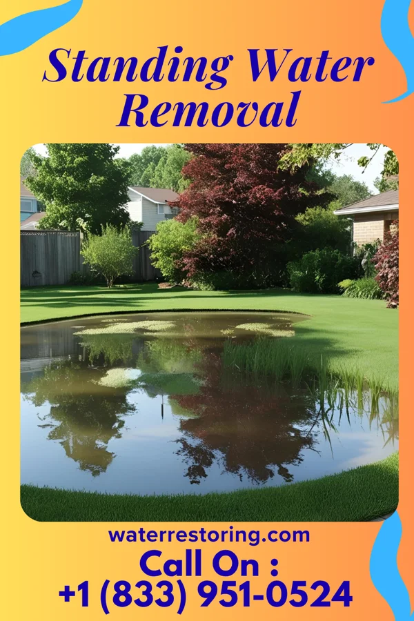 Standing Water Removal in Richwood, LA
